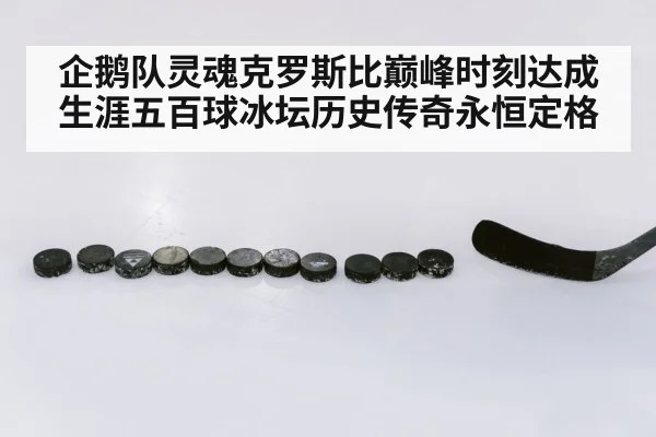 企鹅队灵魂克罗斯比巅峰时刻达成生涯五百球冰坛历史传奇永恒定格